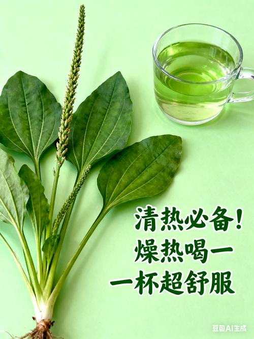 先认清一个事实:植物不是饮水机