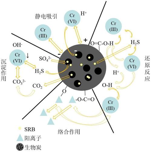 一、微生物修复：看不见的“地下军团”
