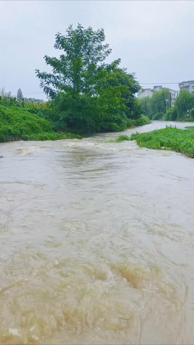 雨中山洪奔涌的浑浊溪流