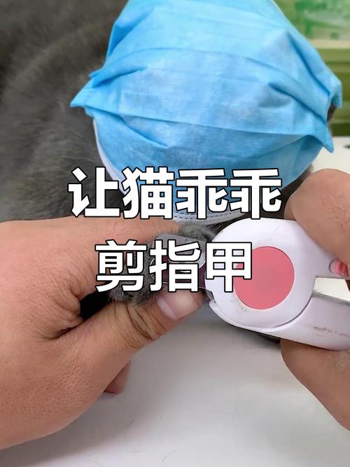 剪指甲总被挠？换个思路比硬按有用