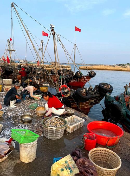 沙子口码头：跟着渔船买第一手鲜货