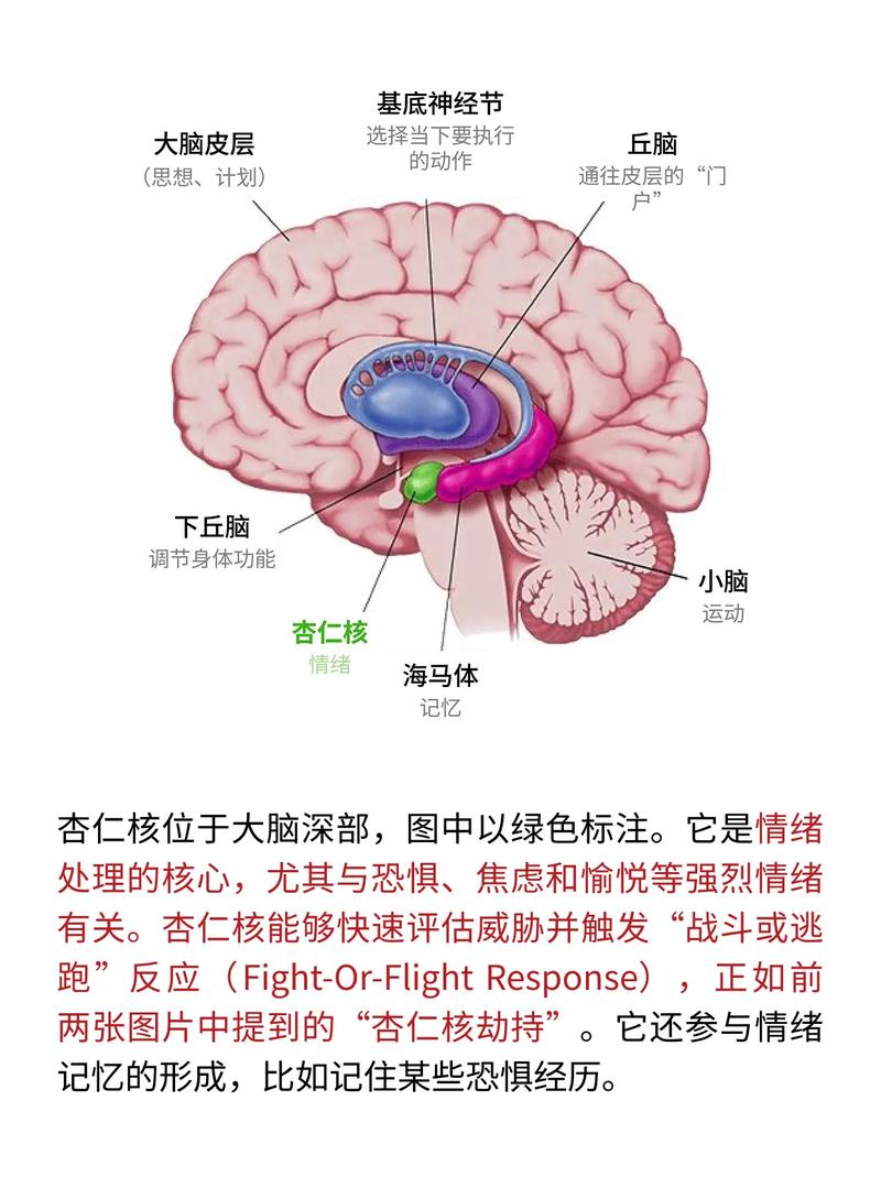 遇到问题总想逃避怎么办？问题解决的底层逻辑-我问答网