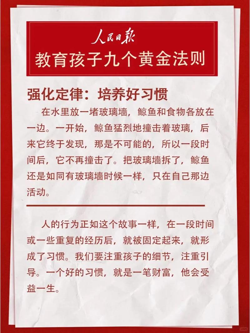 四、这个阶段，其实是教育的黄金切口