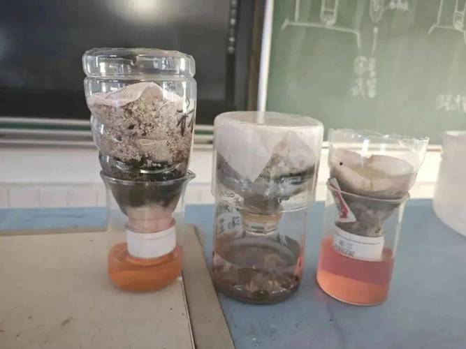 小学科学课学生制作简易净水器课堂场景