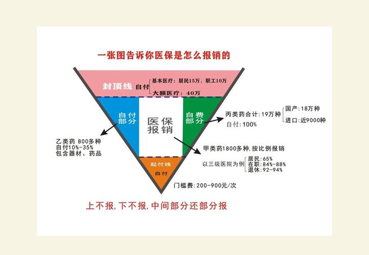 保险报销比例计算步骤示意图