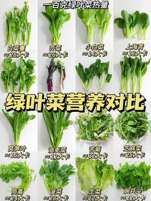 新鲜绿叶菜与不新鲜绿叶菜对比图