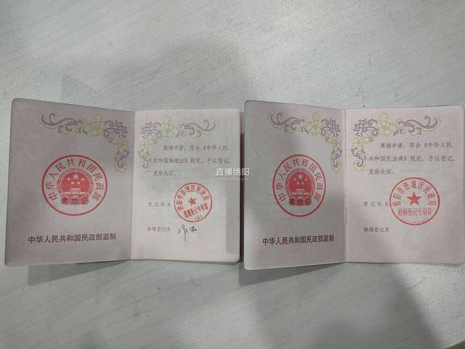 补领完成的新版离婚证实拍