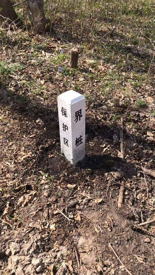 城镇文保单位保护范围边界桩实景图