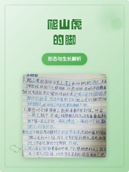 小学语文课学生户外观察爬山虎生长状态