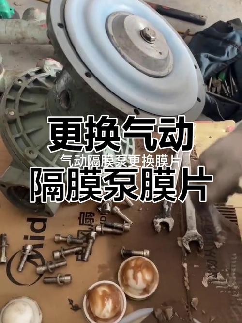 隔膜泵厂家售后人员指导用户现场更换膜片