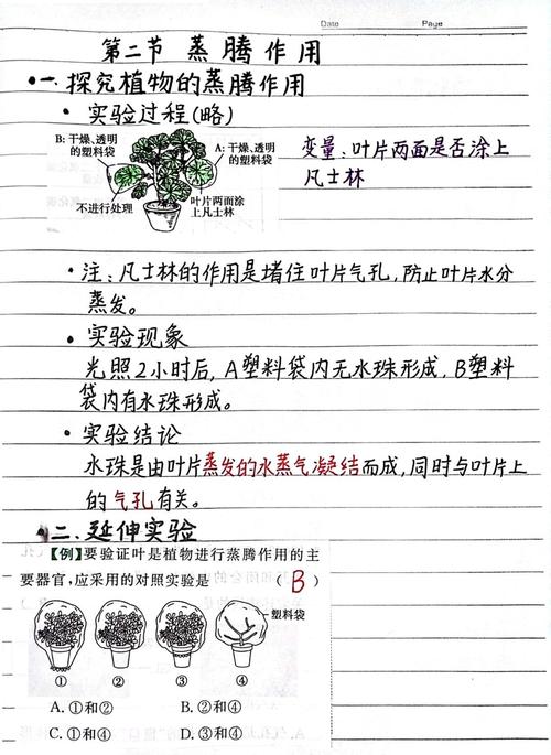 初中生物叶片蒸腾作用观察实验装置图