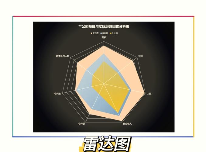 数字化财务技能雷达图