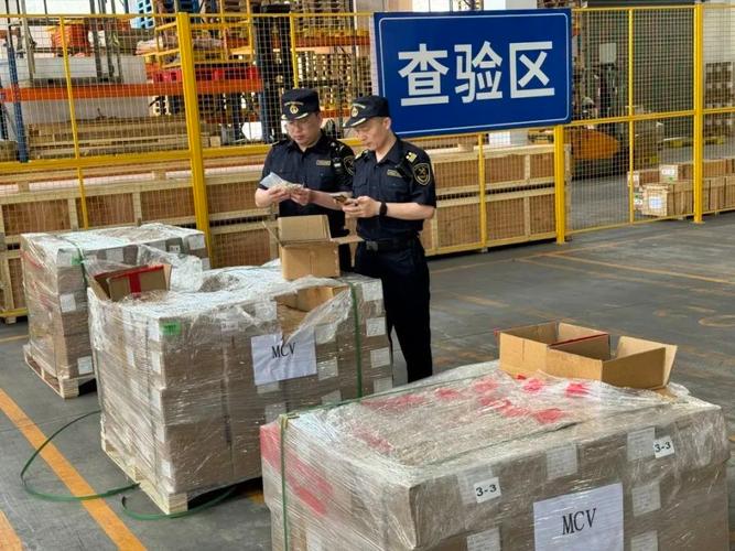 外贸拼柜海关监管查验现场图