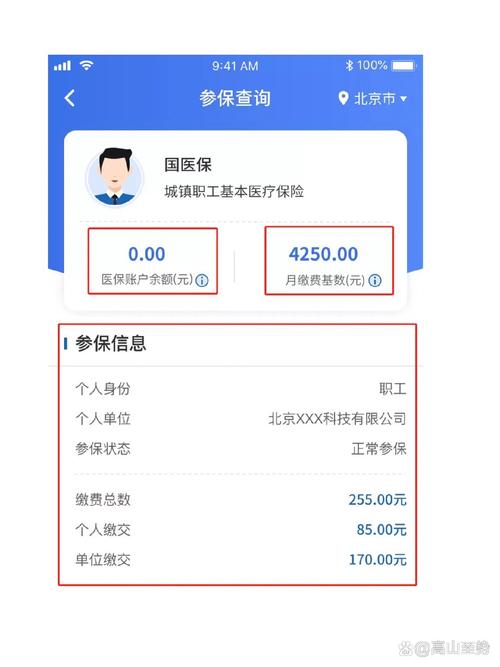 职工医保个人账户缴费查询结果示意图
