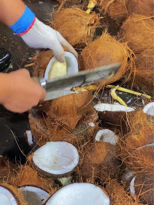 冷榨椰子油提取天然洗护原料现场