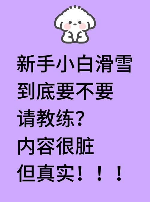 怎么选？掏心窝子的建议