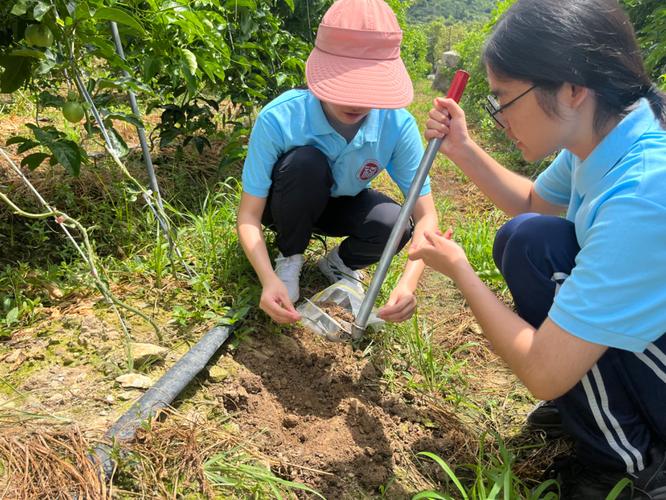 中学生户外地理考察土壤观测现场