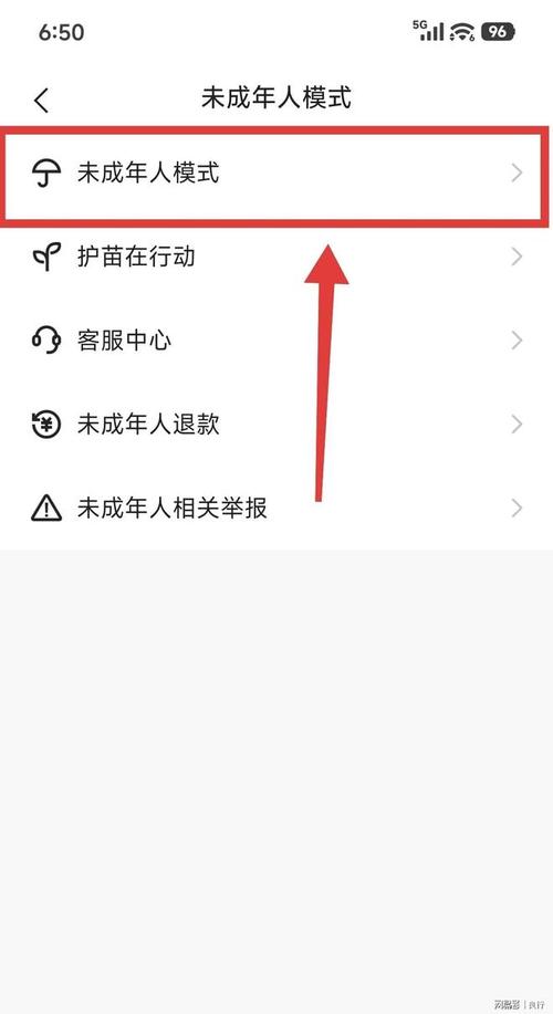 未成年人网络保护平台未成年人模式界面示意图