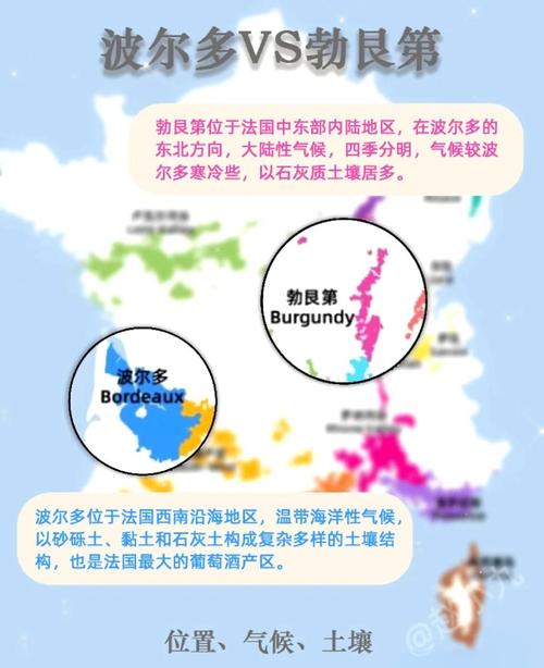 波尔多葡萄园与勃艮第葡萄园对比图