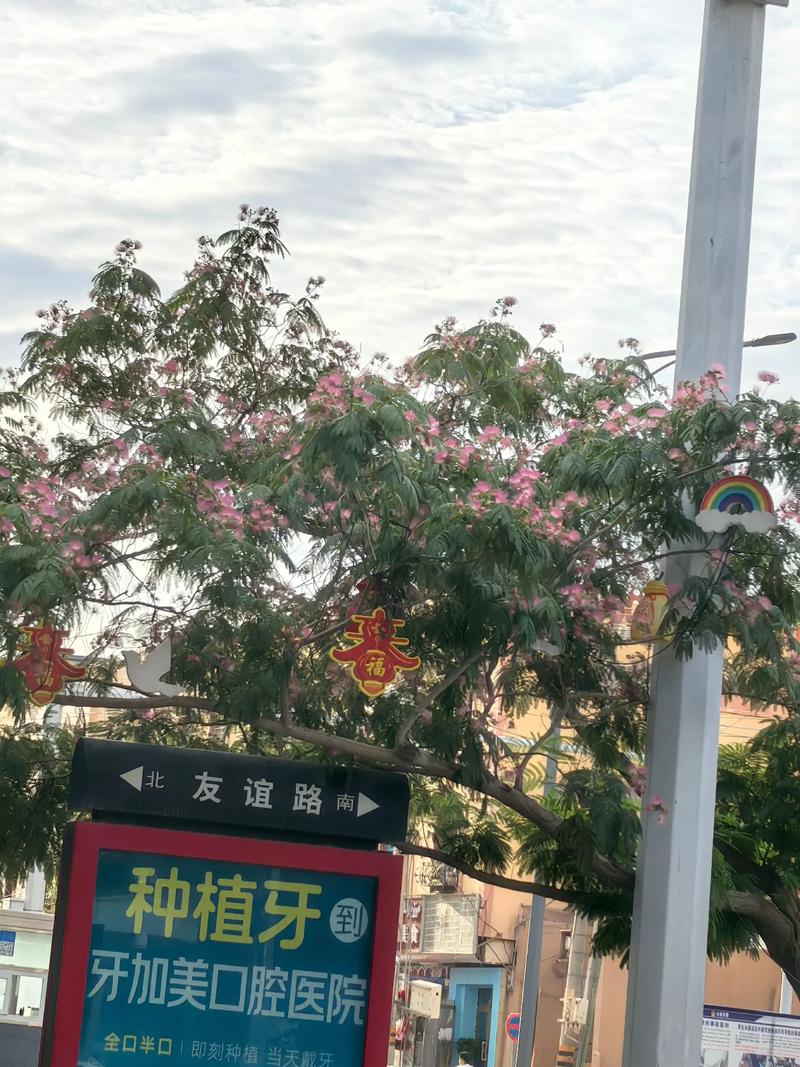 去之前嫌远，回来才懂为啥那么多人愿意往这边跑