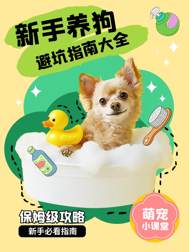 宠物用品用户避坑文案示例