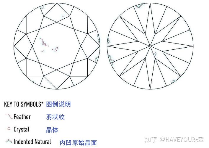 GIA钻石证书净度特征素描图