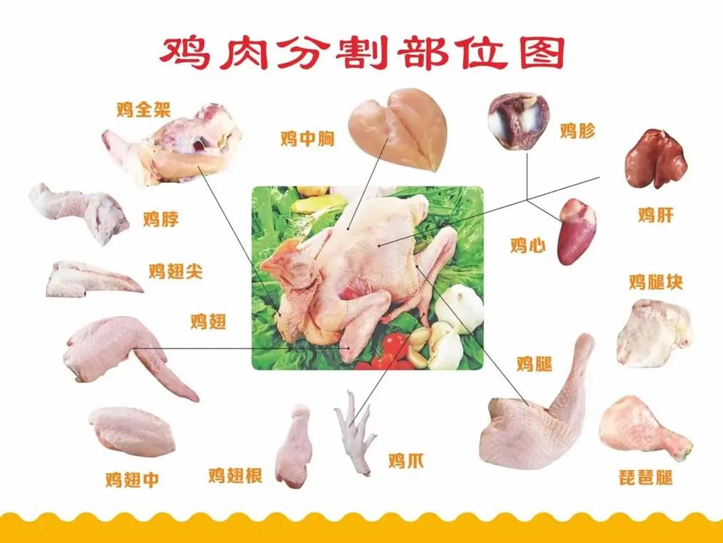 安全处理宠物生鸡肉示意图