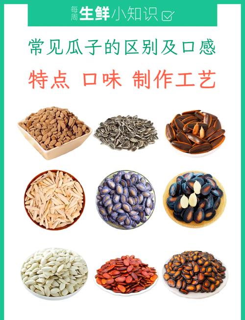 常见可食用种子类食材生食熟食分类图
