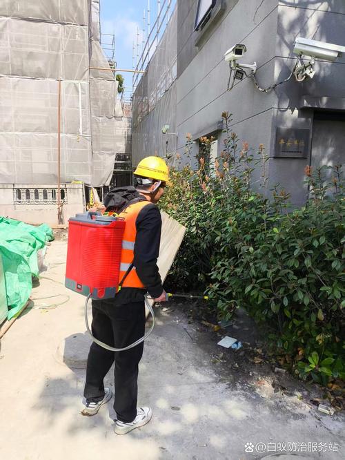 古建虫害防治专用低毒药剂作业场景