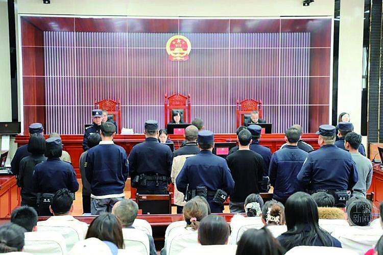 网红MCN公司股东纠纷庭审现场