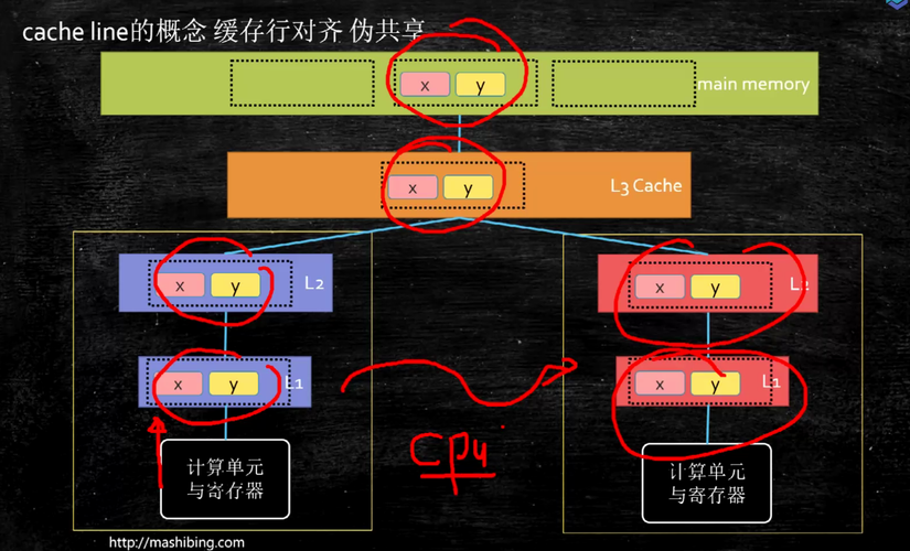 CPU缓存行伪共享原理示意图