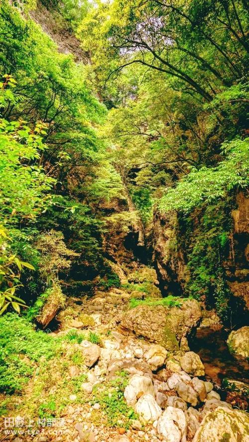 湖北南漳天鹅池村中心古池景观