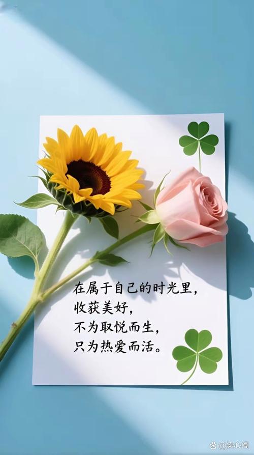 放过“完美合群”,接受不一样的交往节奏