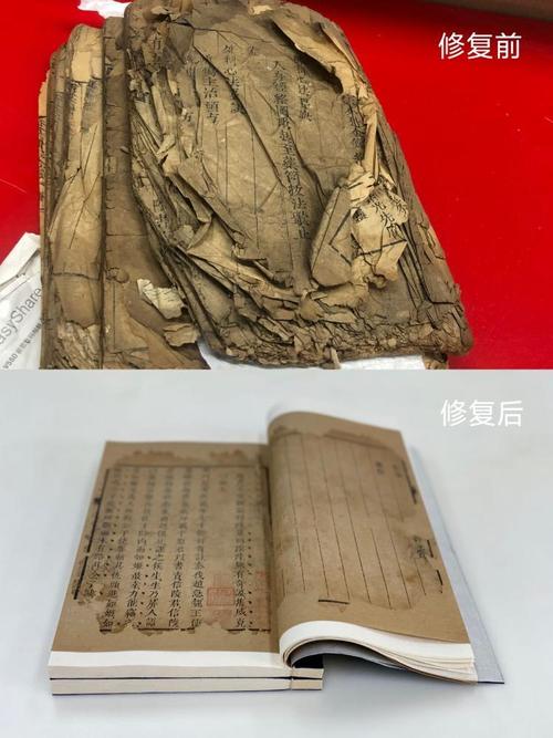 历史学家对比不同古籍版本工作照