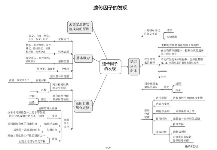 高中生物教材知识结构思维导图