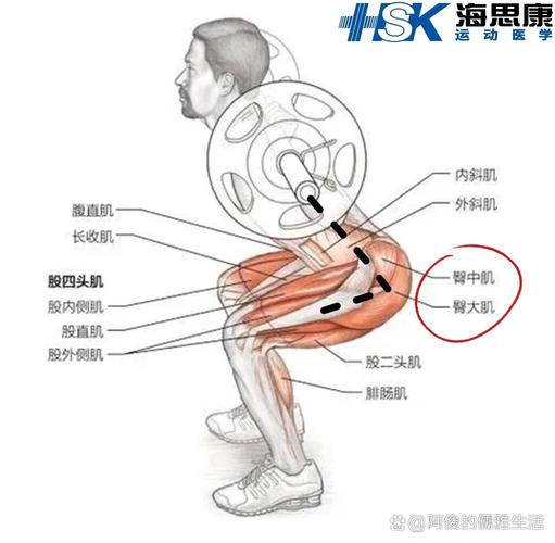 深蹲动作膝盖压力受力示意图
