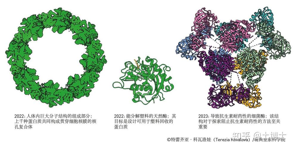 2024年诺贝尔化学奖获奖研究AlphaFold蛋白质结构预测示意图