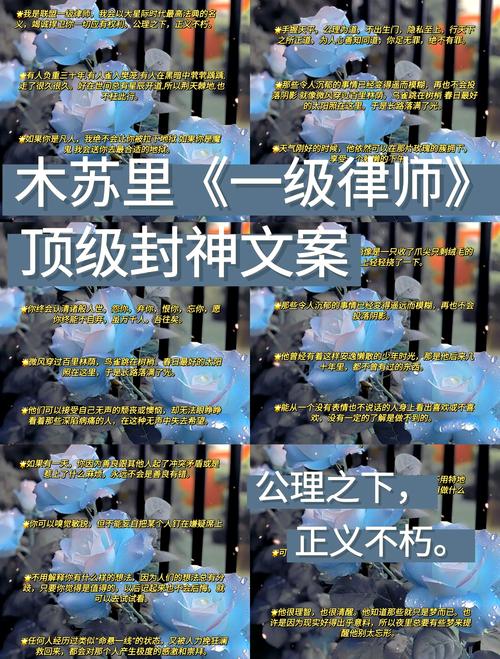 五、那些微妙的技术,老律师懂的