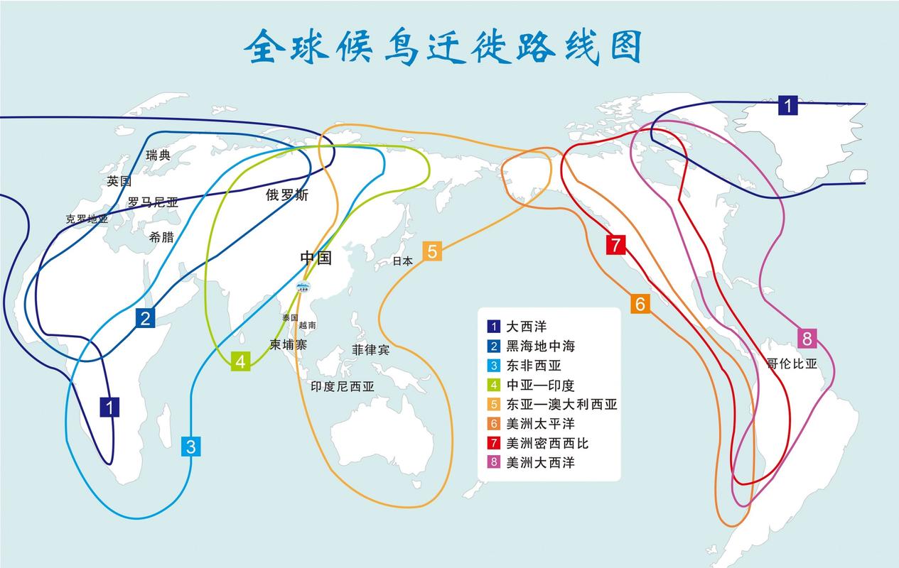 高中地理鸟类迁徙典型例题答题框架图