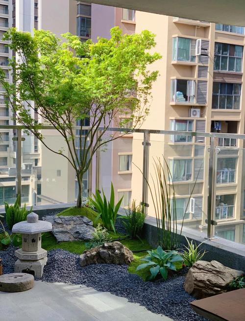 耐晒露台花园植物搭配实景图
