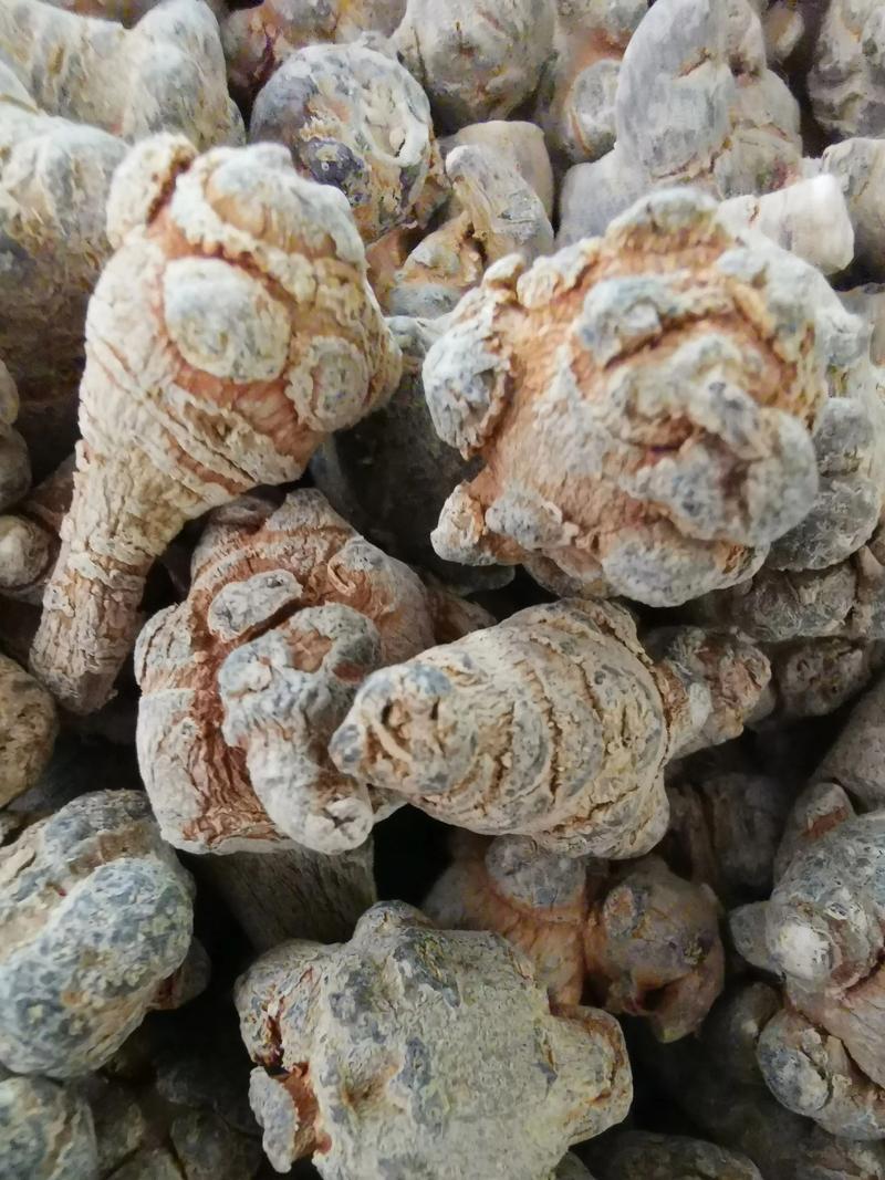 超微粉碎机用于中药细胞破壁的实际效果对比图