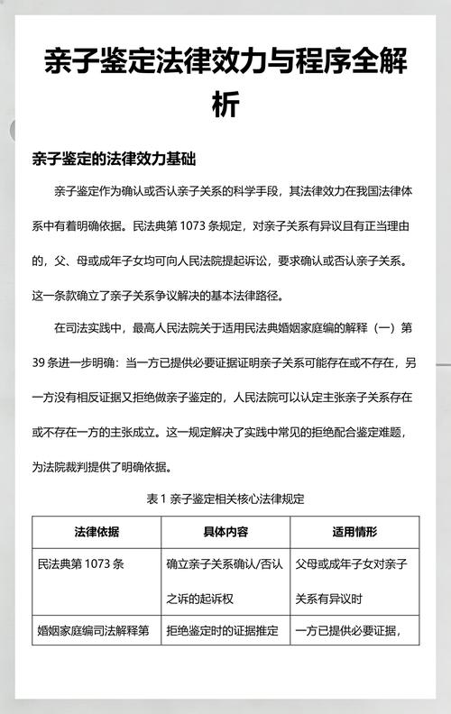 司法程序中亲子关系确认流程示意图