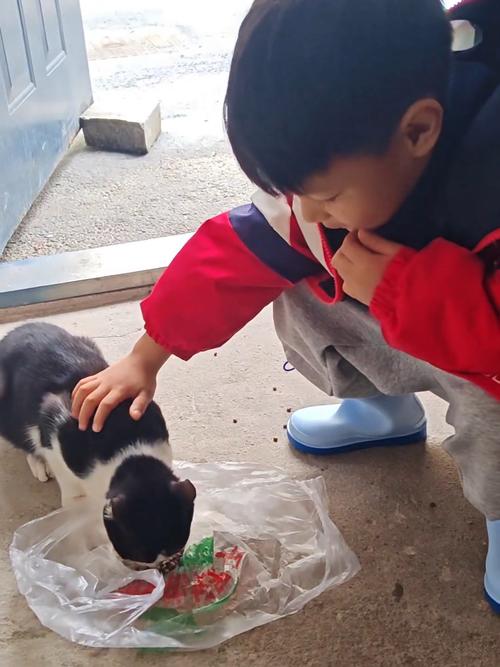 孩子趴在地板上摸流浪猫软毛日常
