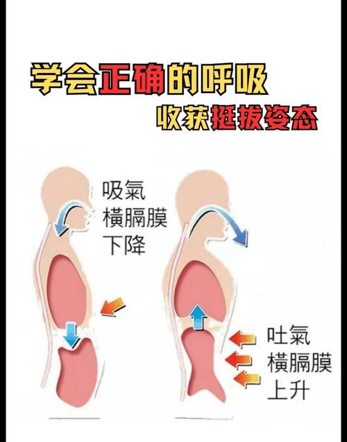横膈膜呼吸练习真人示范