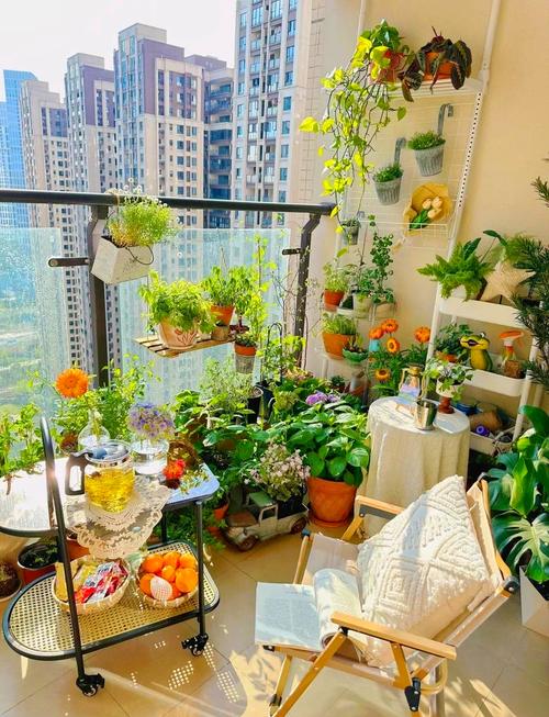 原来阳台整洁，是给自己留的喘气口