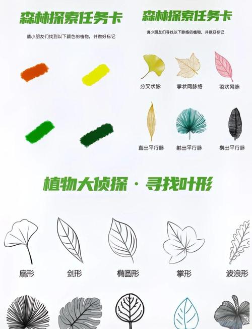 亲子户外树叶追踪游戏标记示意图