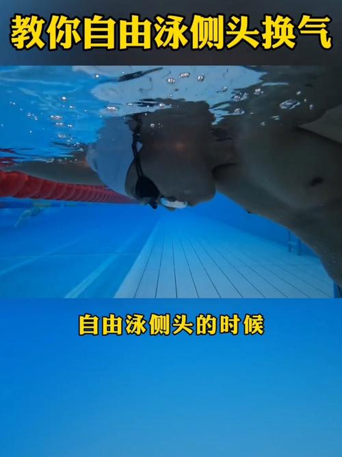 自由泳正确换气头部姿势演示图