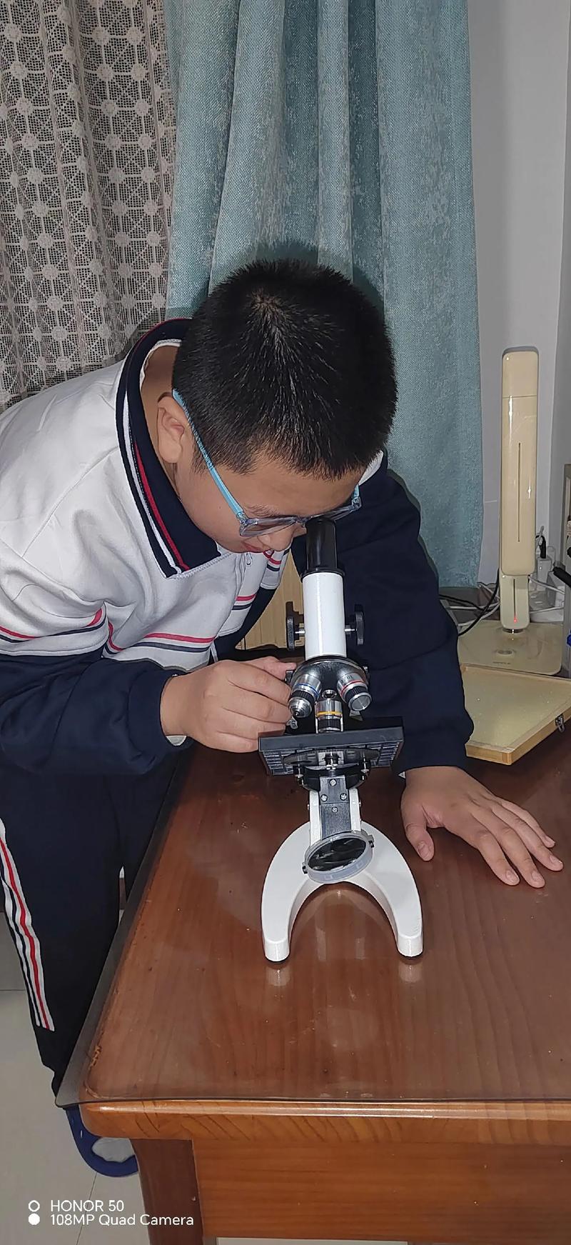 🔬 透过现象看本质：那些商家不会告诉你的真相