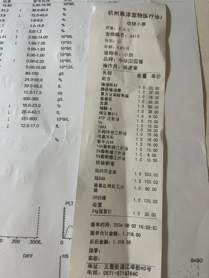 宠物伤人就医费用凭证整理