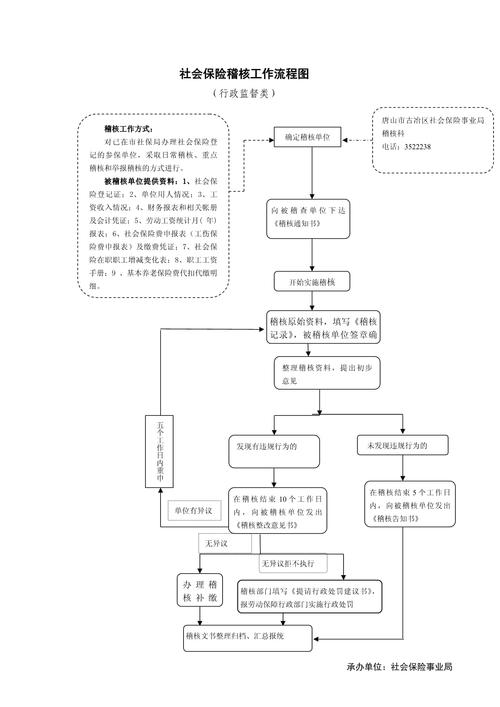 试用期社保稽核投诉流程示意图